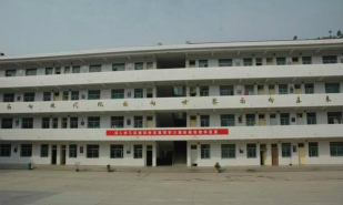 洛南县石坡中学