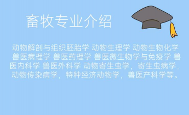 海南五年制大专学校