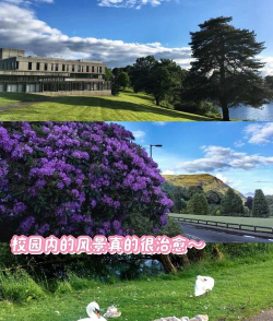 斯特林大学