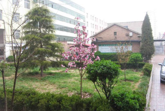献县宏志中学