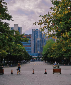 西南财经大学