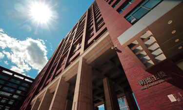 金贝尔纳特大学学院