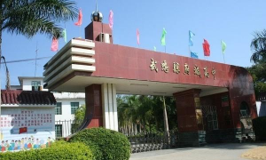 武鸣县府城高级中学
