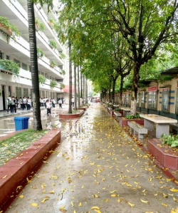 南宁市第二十八中学(高中部)