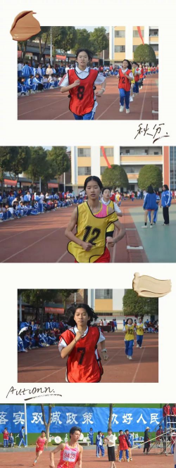 天台白鹤中学