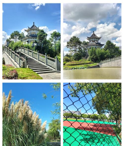 温岭市新河镇中学