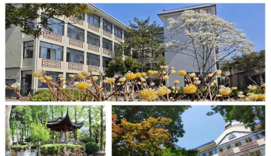 温岭市新河镇高桥中学