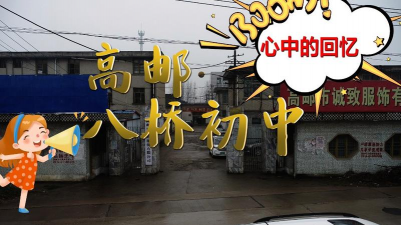 高邮市八桥镇初级中学