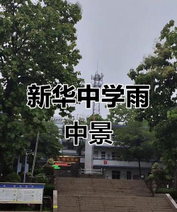 阜阳市颍东区新华办新华初级中学