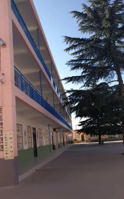 颍东区河东办城郊初级中学