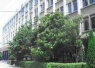 颍东区河东办十六中学