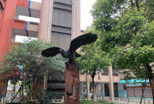 马鞍山成功学校
