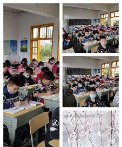 蹇家坡中学