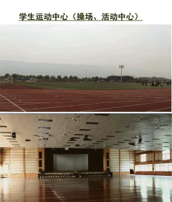 重庆电信职业学院单招