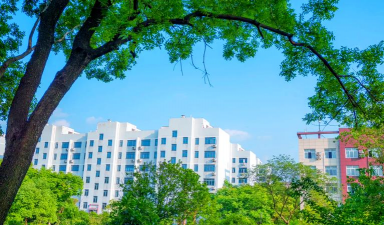 武昌职业学院