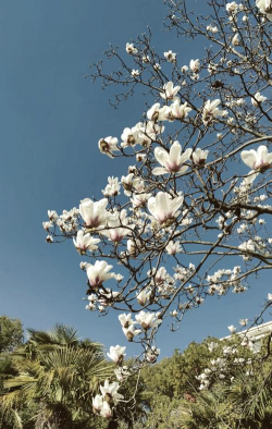 上海大学师范学院延长校区