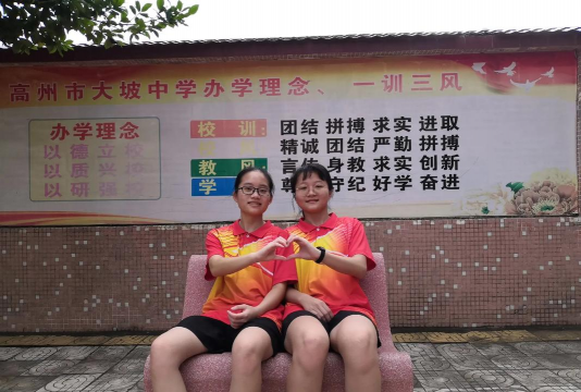 桃园县立大坡国民中学