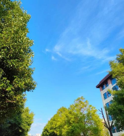 怀化职业技术学院