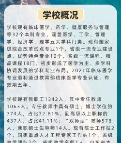 齐鲁医药学院