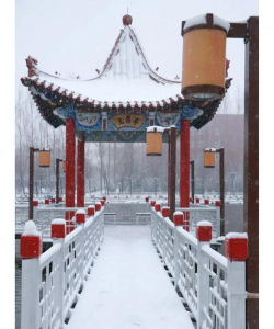 长春财经学院
