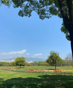 浙江师范大学