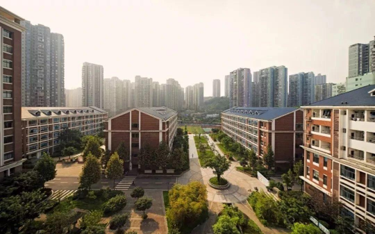 重庆徐悲鸿中学