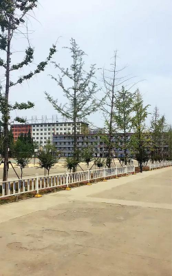 山东煤炭工业学校