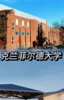 克兰菲尔德大学