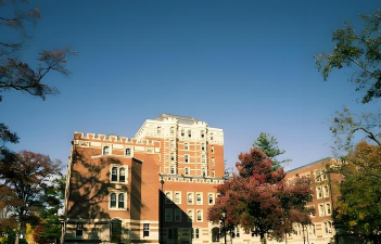 纽曼大学学院