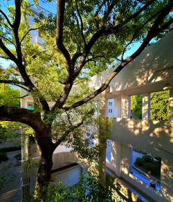 湖北美术学院