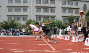 临澧县新安镇中学