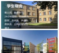 布鲁内尔大学