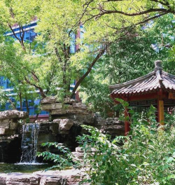 中国传媒大学