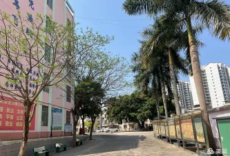 城厢镇第三初级中学