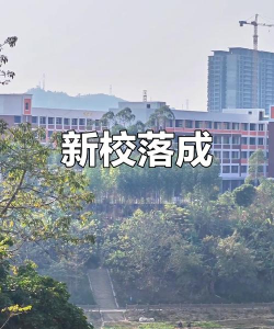 广西隆安县第三中学