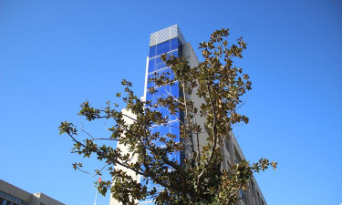 凤台县技工学校