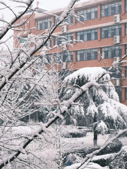 湖南师大附中海口中学