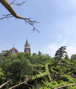 温哥华神学院