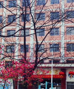 广西南宁市宾阳县育贤中学