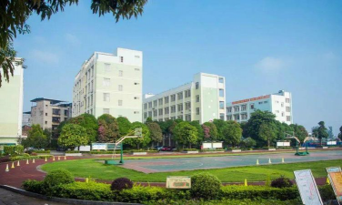 五一西路学校