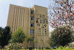 金清实验中学