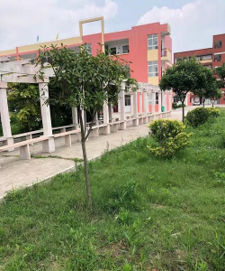 阜阳市颍东区口孜镇汪庙初级中学