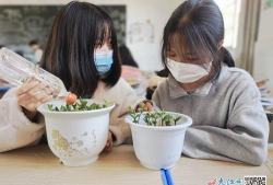 岭东初中