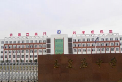 玉皇庙镇第三初级中学