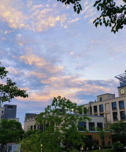 武汉学院