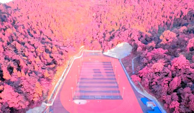 重庆人文科技学院