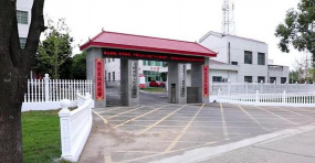 安乡县大鲸港镇中学