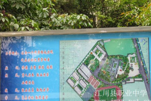 江川县职业高级中学
