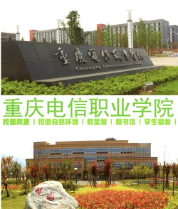 重庆电信职业学院单招