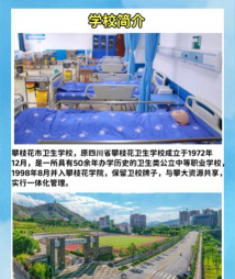 攀枝花卫生学校